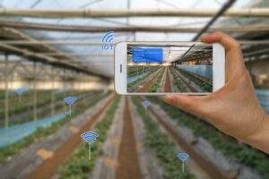 Agriculture IoT
