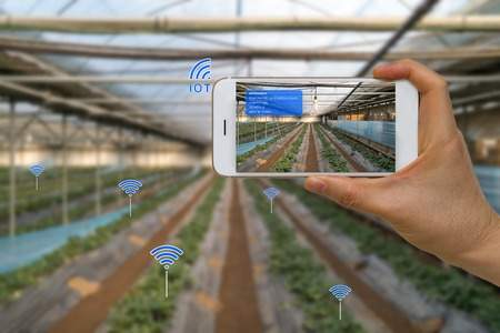 Agriculture IoT