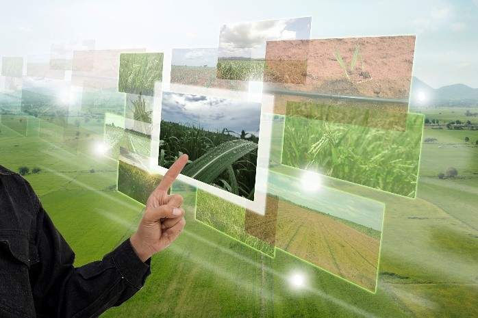 smart agriculture