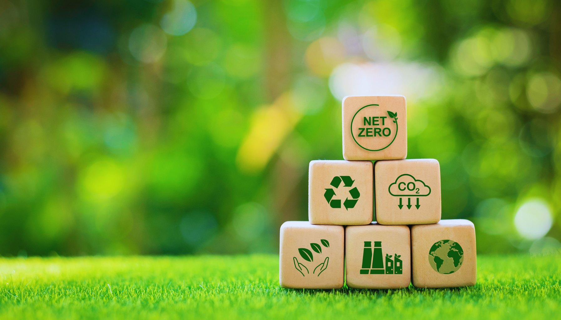 Net Zero Emissions